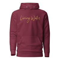 Front View Of A Living Water Eternal Life Hoodie In Maroon