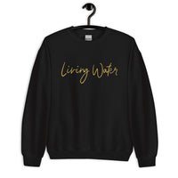 Front View Of A Black Living Water Eternal Life Sweatshirt On Hanger