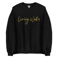 Front View Of A Black Living Water Eternal Life Sweatshirt 
