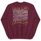 Living Water Eternal Life Sweatshirt In Maroon
