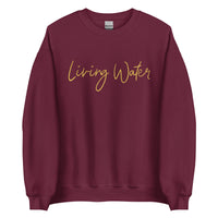 Front View Of A Maroon Living Water Eternal Life Sweatshirt 
